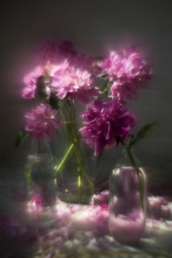 Photograph by Юлия Осипенко