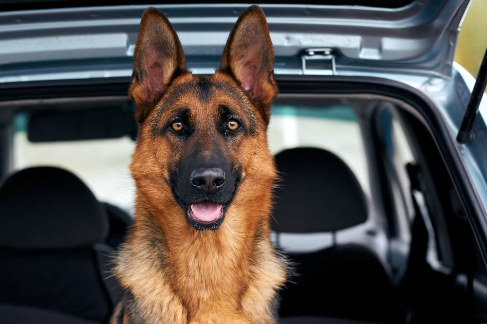 Photograph by Константин Кузнецов