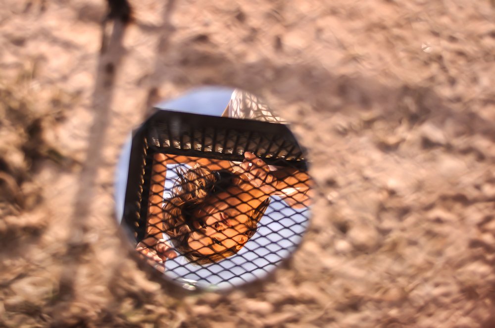 Photograph by Sergio Mauras