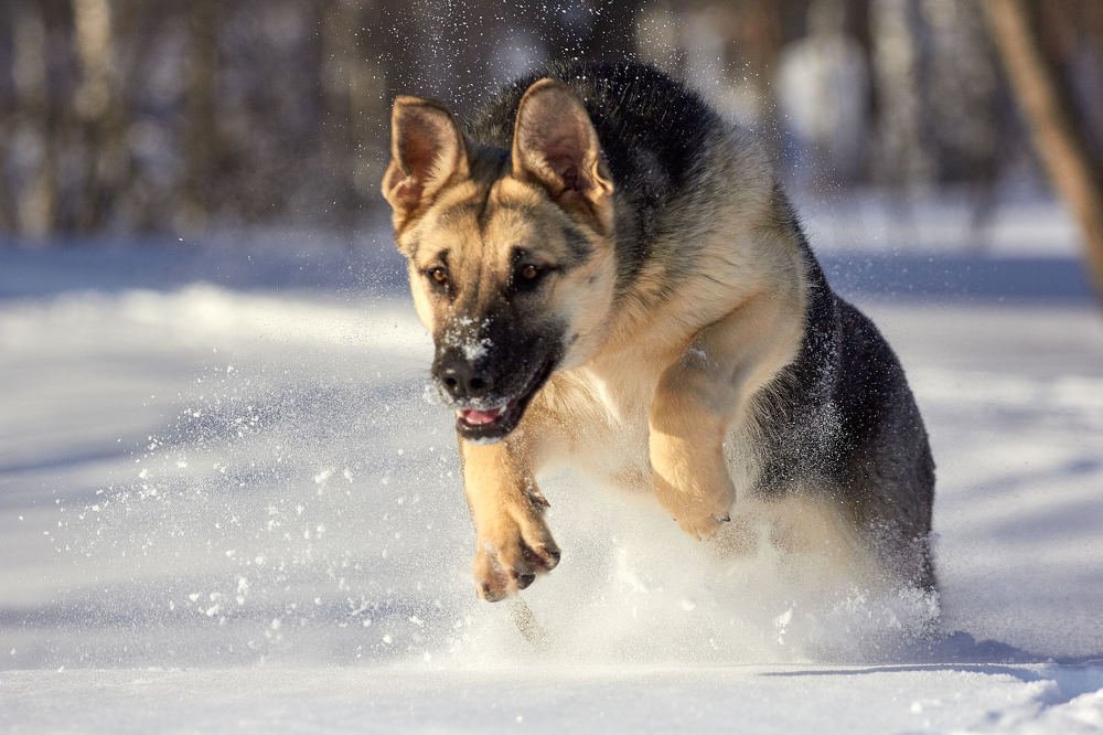 Photograph by Константин Кузнецов