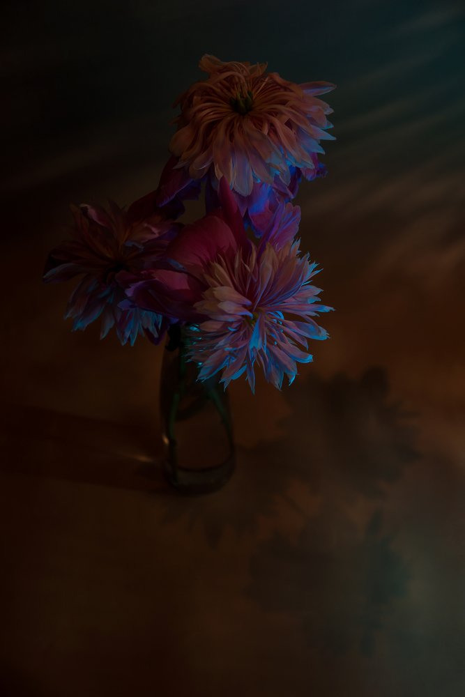 Photograph by Юлия Осипенко