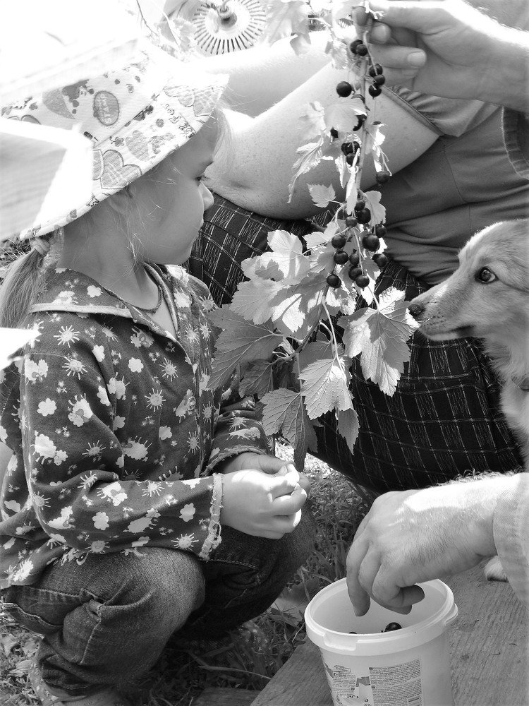 Photograph by Елена Стрельцова