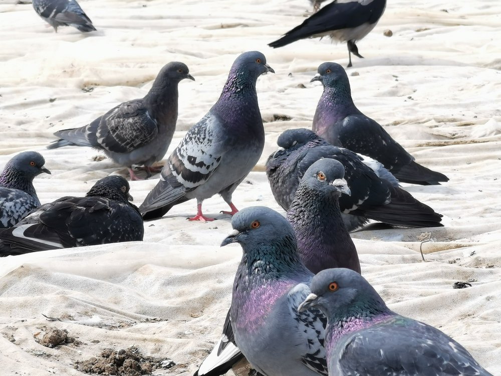 Photograph by Юлия Осипенко