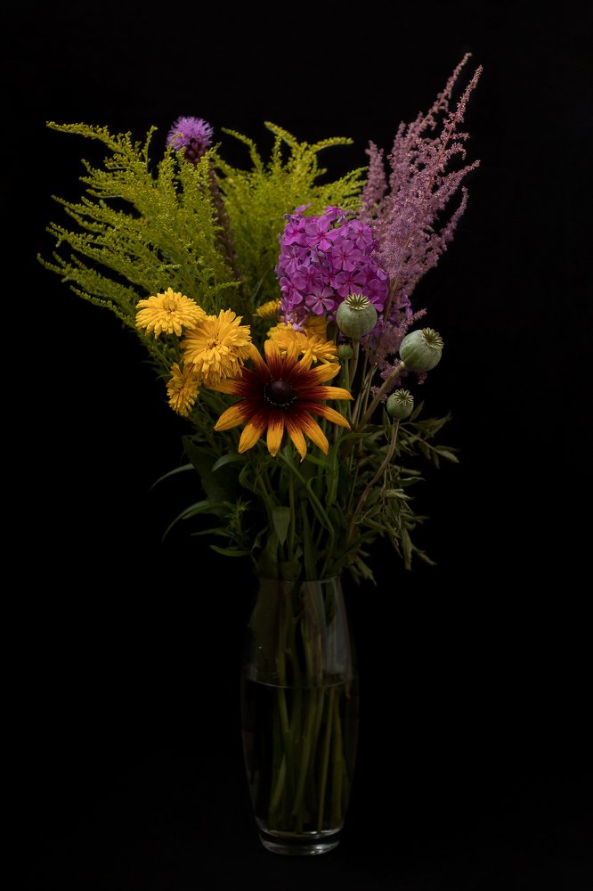 Фотография автора Елена Ельшина