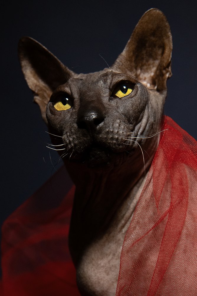 Photograph by Юлия Осипенко