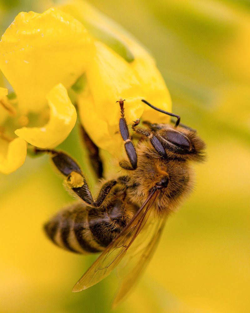 Photograph by Екатерина Топорова