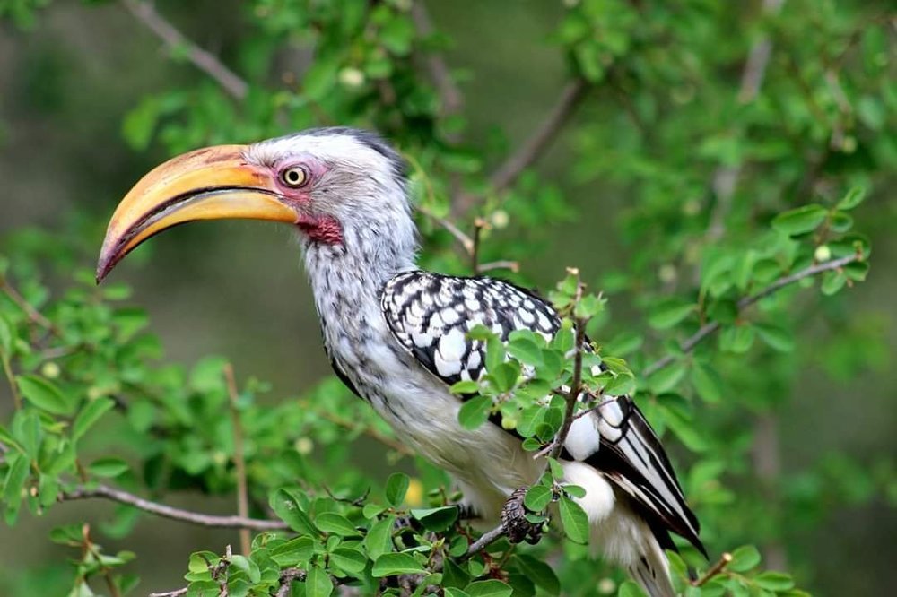 Photograph by Linette Bothma