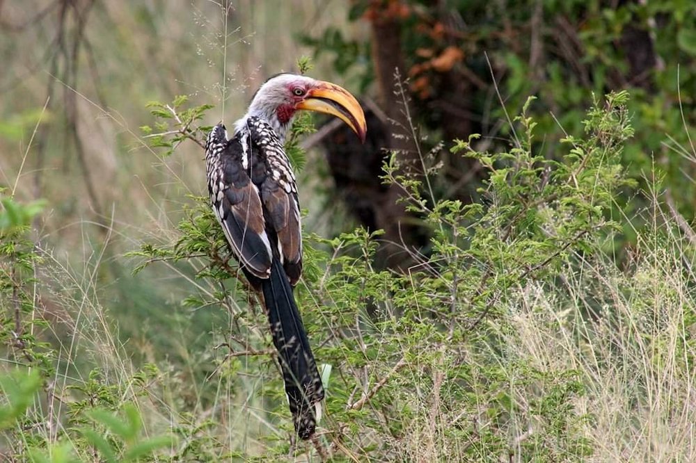 Photograph by Linette Bothma