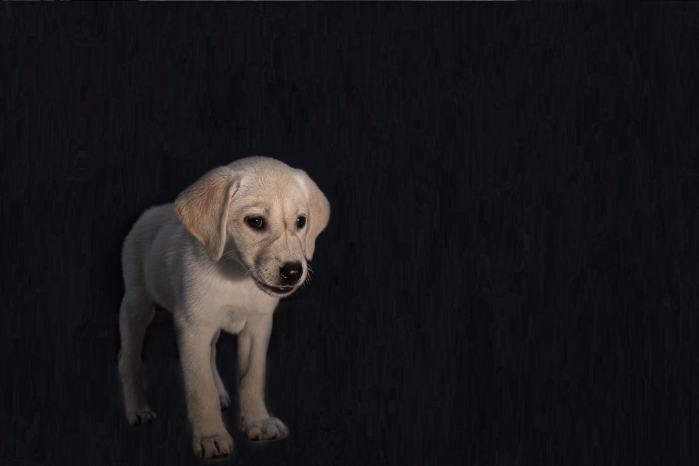 Photograph by Dipanjan Nath