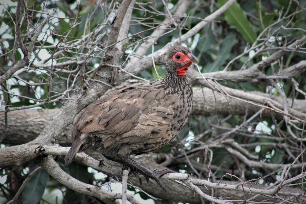 Photograph by Linette Bothma