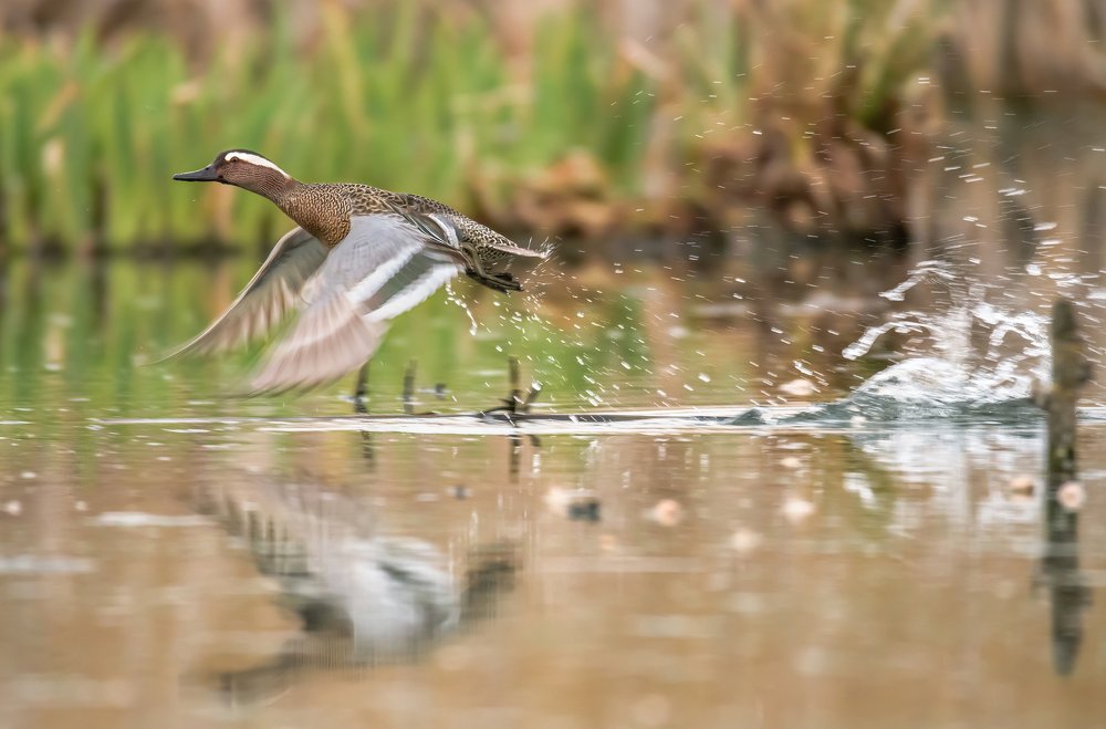 Photograph by Ксения Соварцева