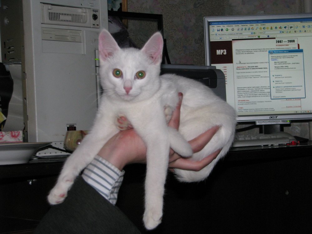 Photograph by Алексей Логинов