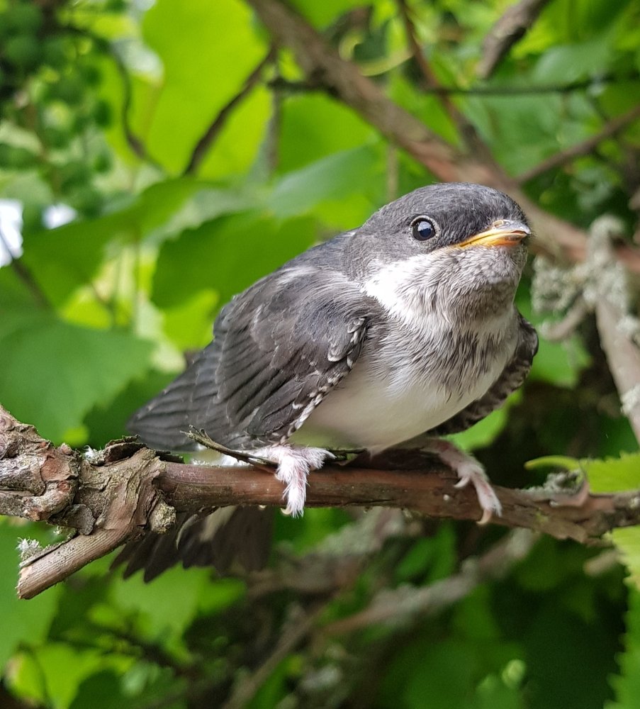 Photograph by Татьяна Козлова