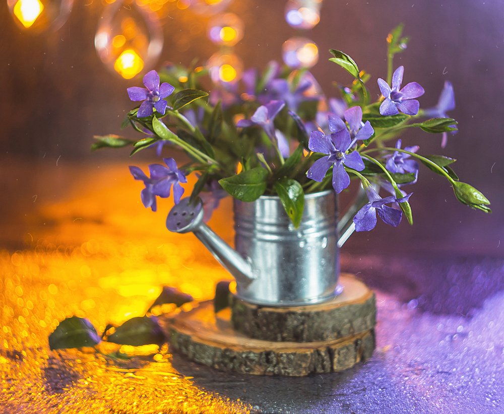 Photograph by Алла Семенова