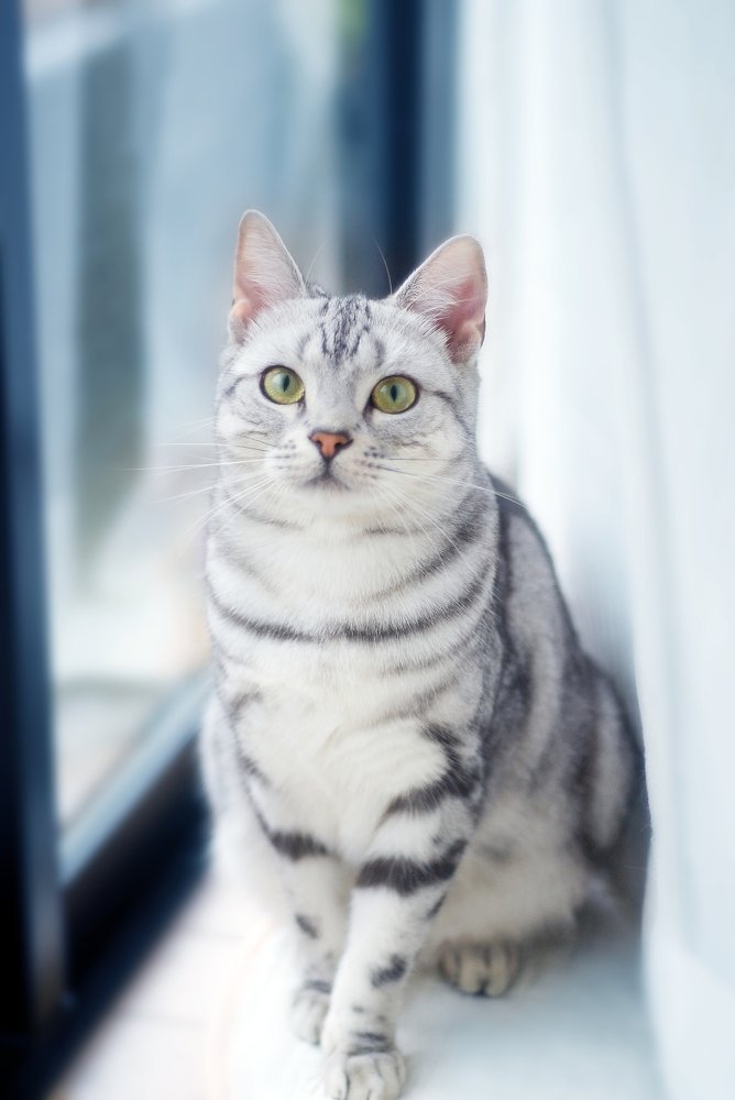 Photograph by mypure heart