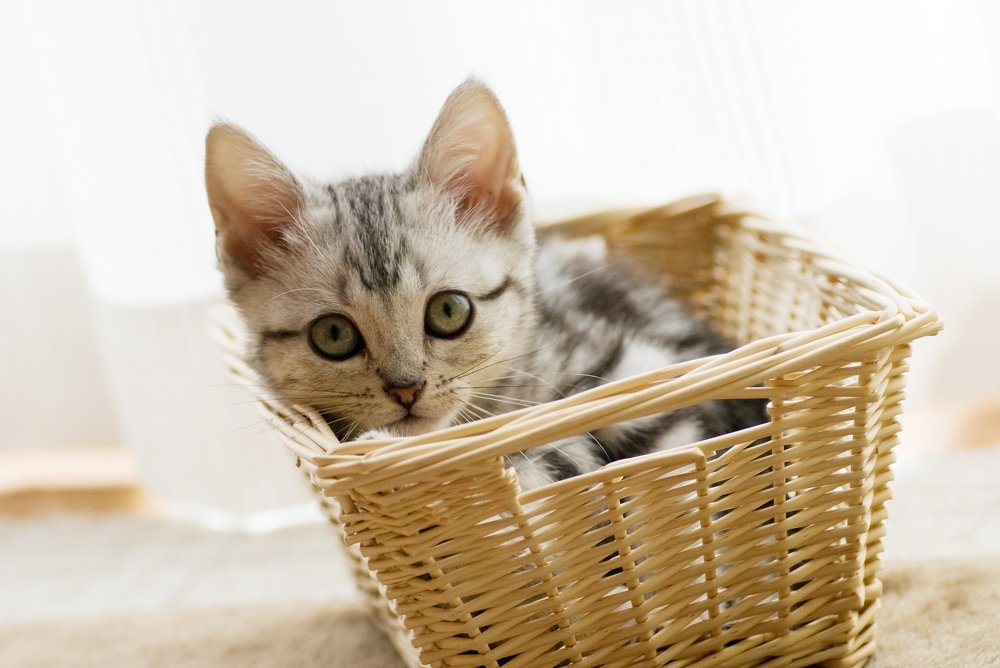 Photograph by mypure heart