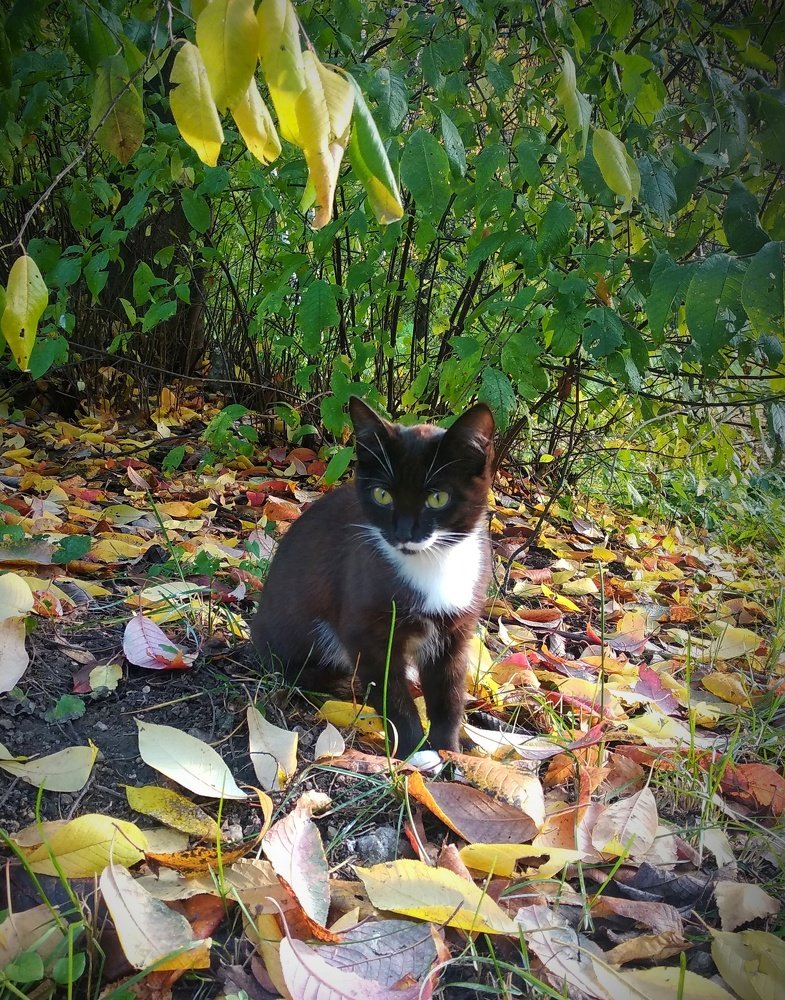 Photograph by Олеся Лосыгина