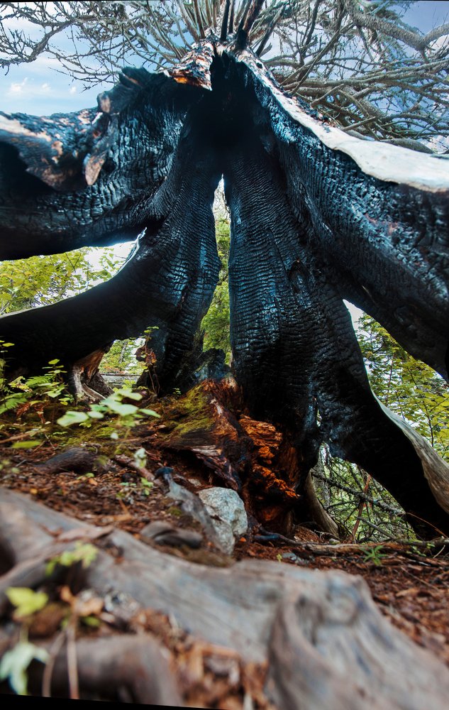 Фотография автора Сотников Иван