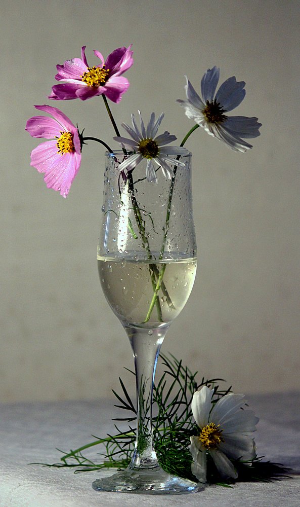 Photograph by Зоя Быкова