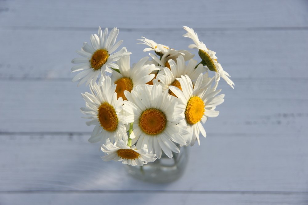 Photograph by Татьяна Шелудяк