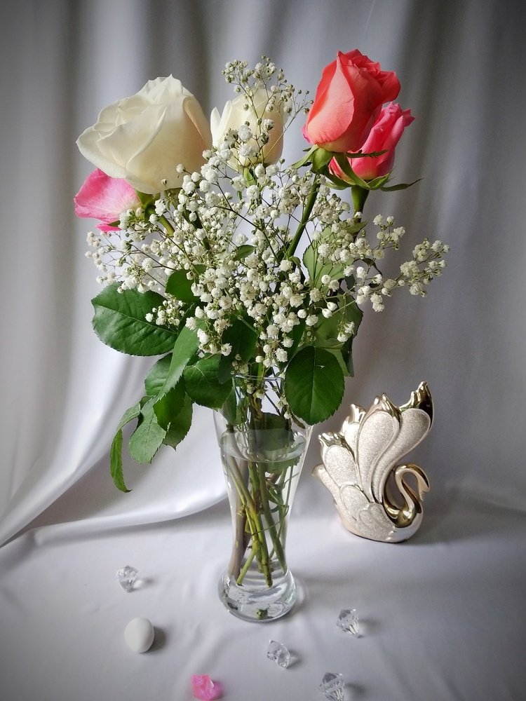 Photograph by Олеся Лосыгина