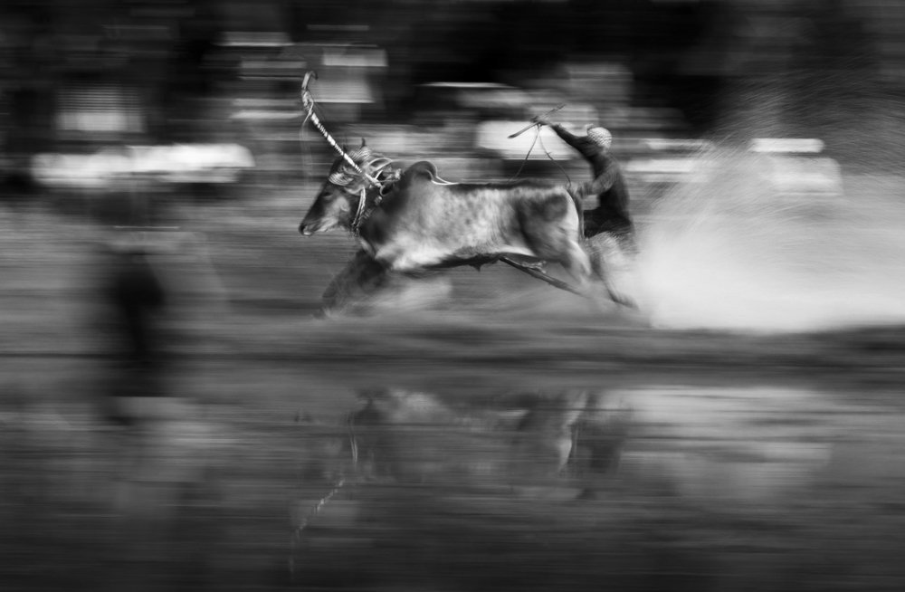 Photograph by Ngoc Vu Bao