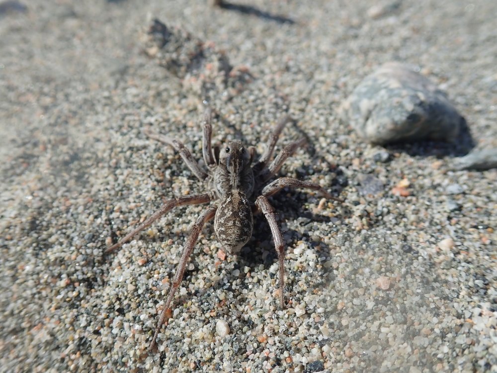 Photograph by Сергей BULGAKOV