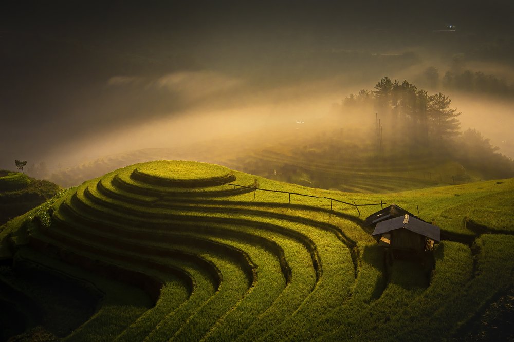 Photograph by Ngoc Vu Bao