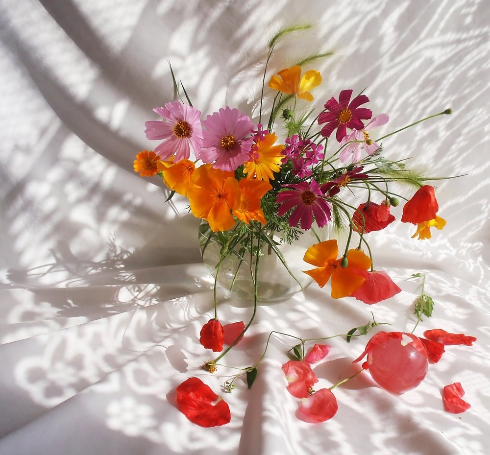 Photograph by Любовь Саханова