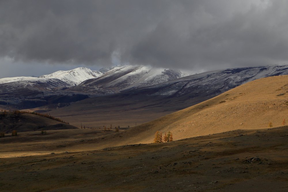 Photograph by Евгений Зинов