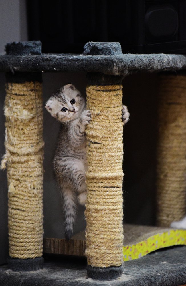 Photograph by Long Nguyen