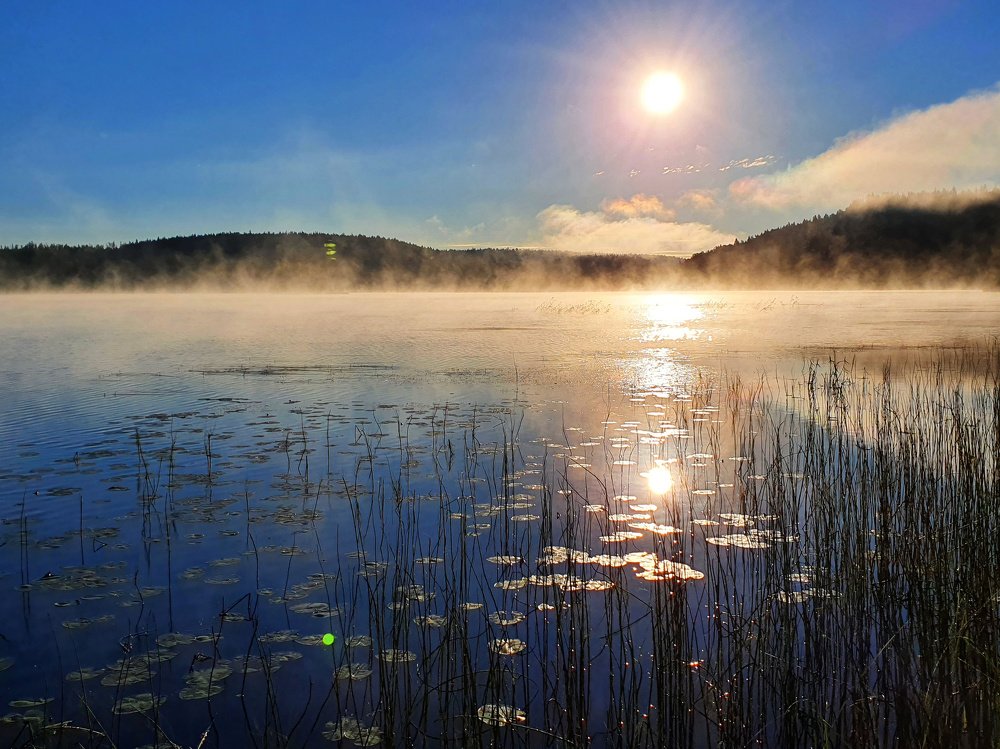 Early morning in Karelia