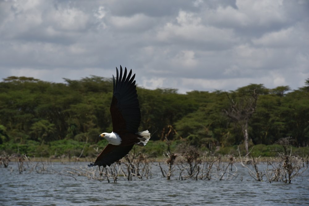 Photograph by Long Nguyen