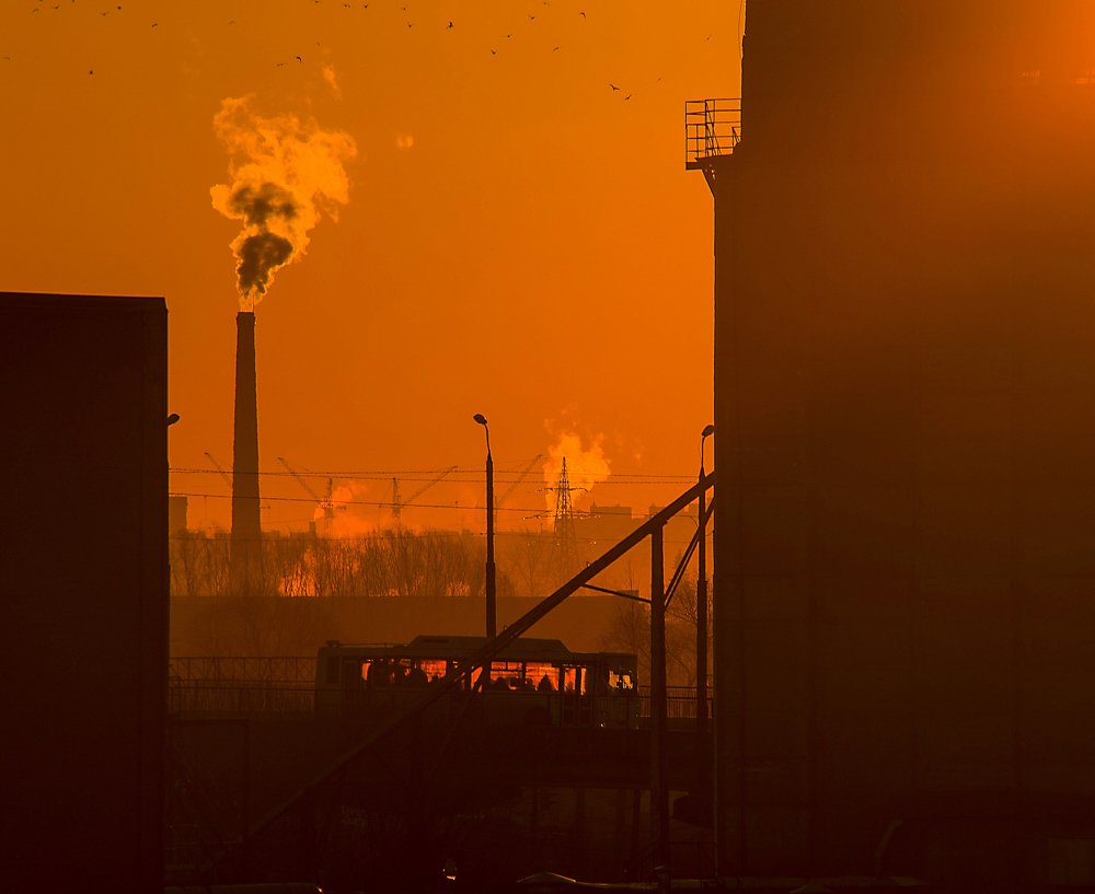 Рабочее утро