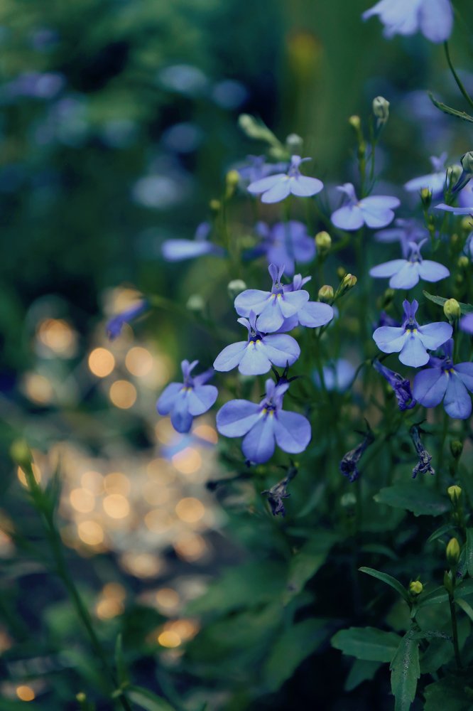 Photograph by Maryna Sydorova