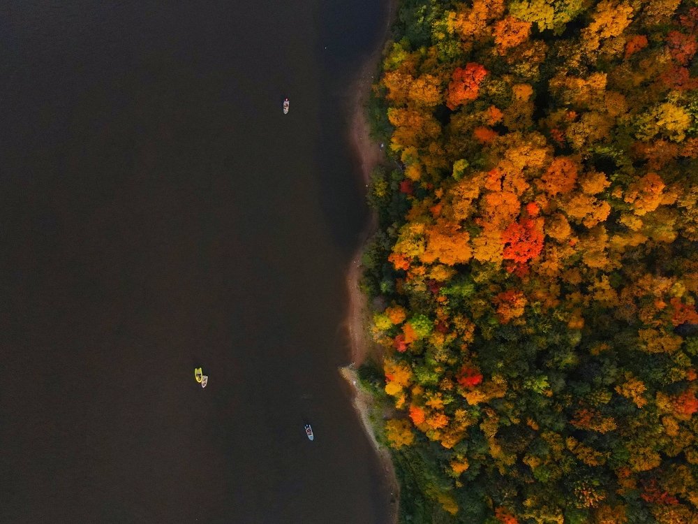 Золотая осень в Поволжье