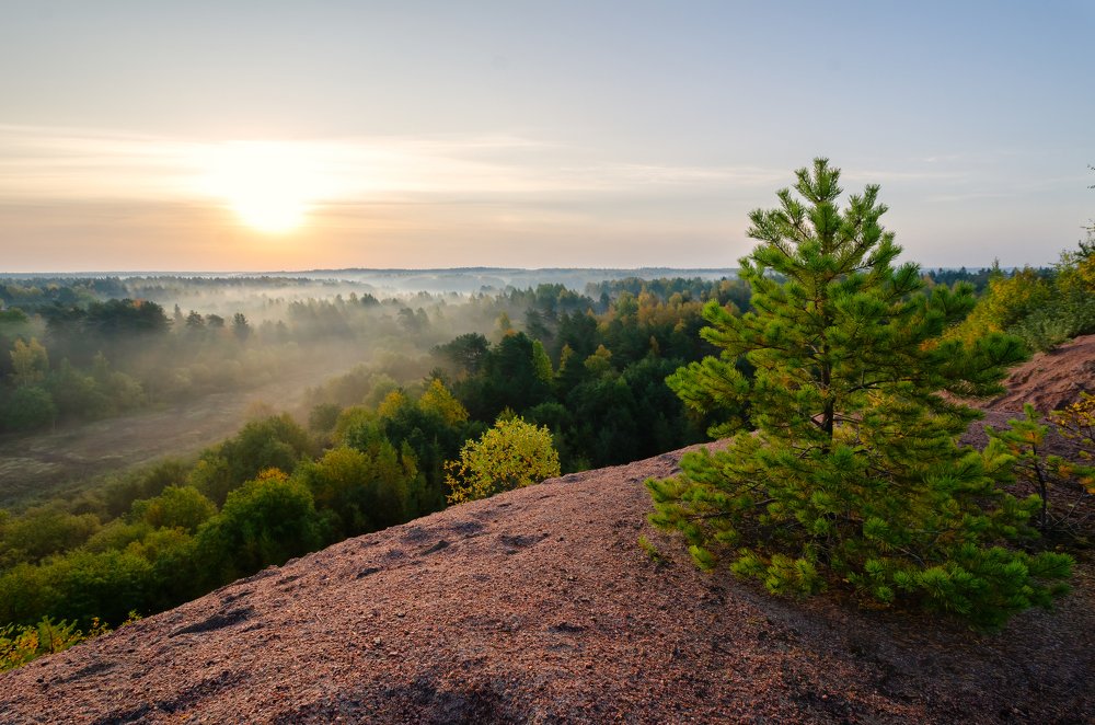 Утро. Взгляд сверху.