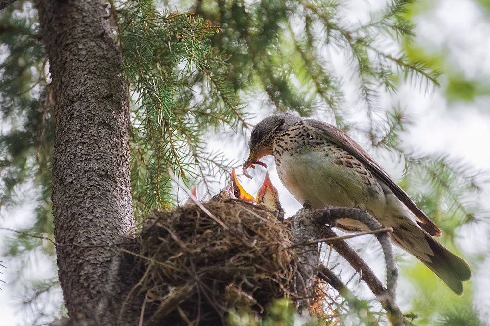 Photograph by Olga Akhmetova