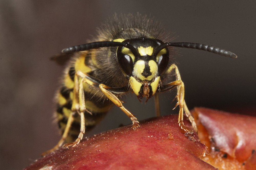 Фотография автора Марина Кулакова