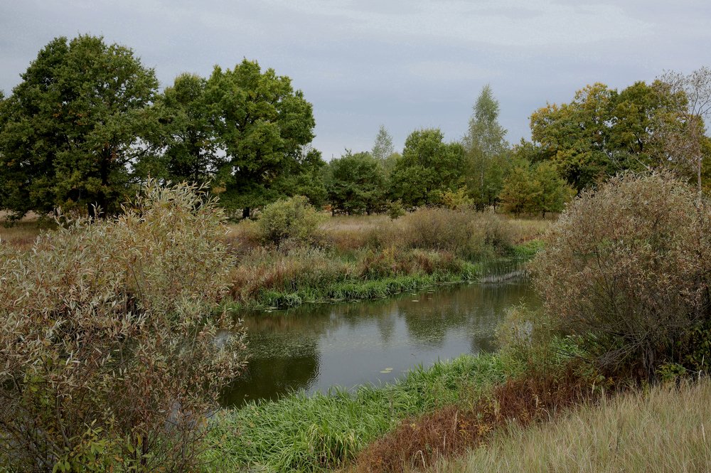 Фотография автора Николай Семенец