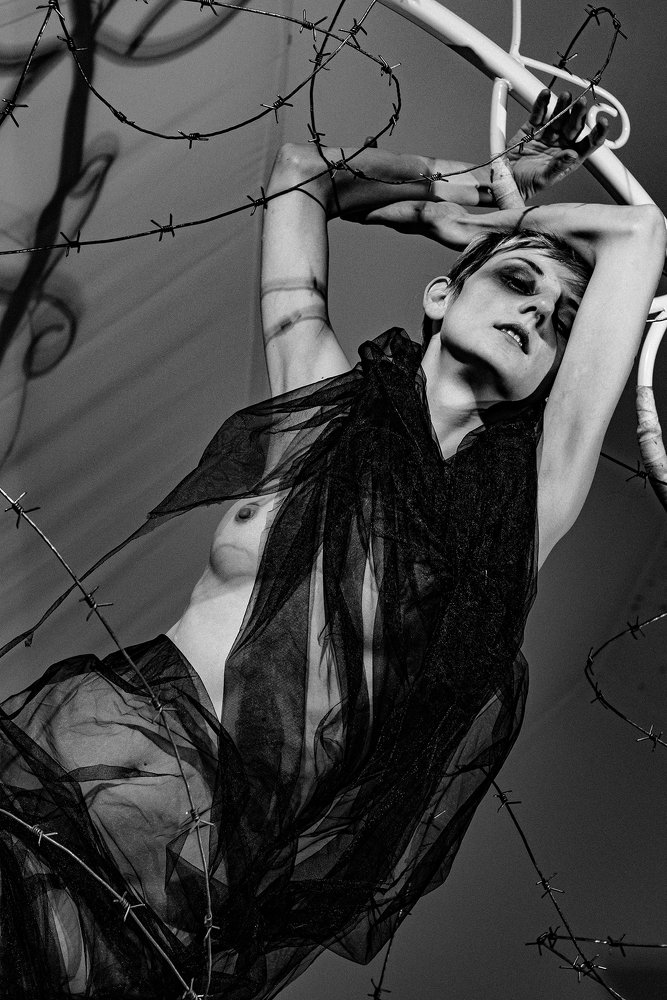 Photograph by Sai Afzali