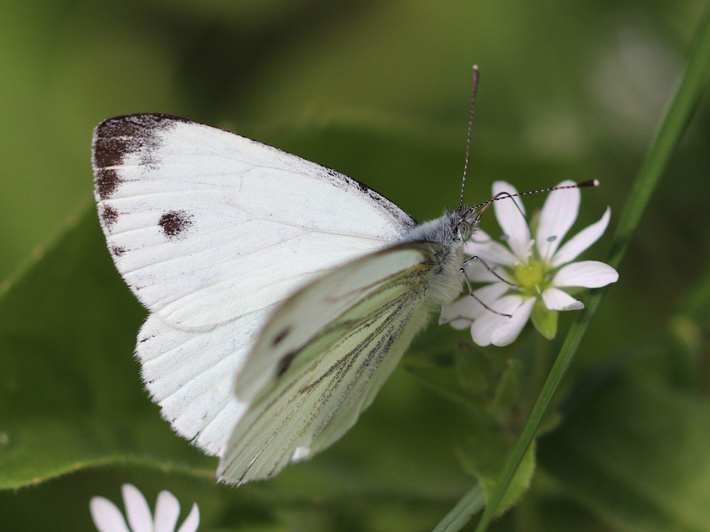 Photograph by Evgeniia Iakimenko