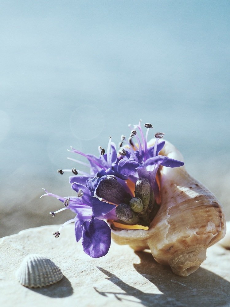 Photograph by Tatyana Belova