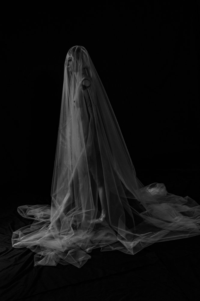 Photograph by Sai Afzali