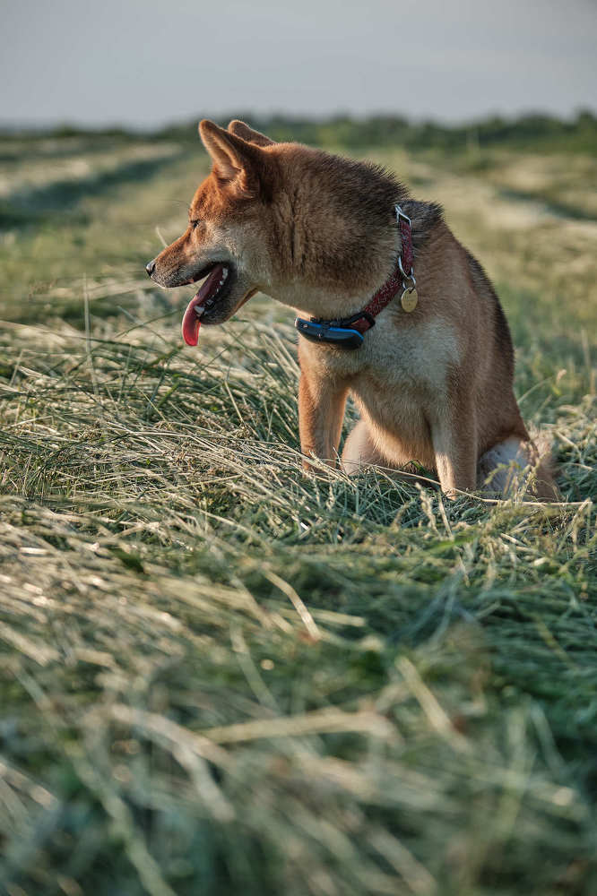 Photograph by Vitaliy