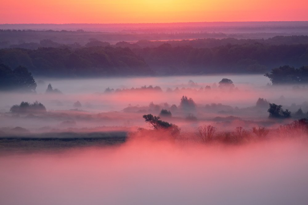 Фотография автора Юрий Сорокин