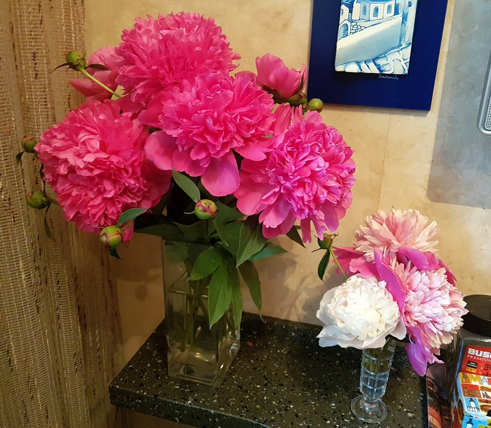 Peonies