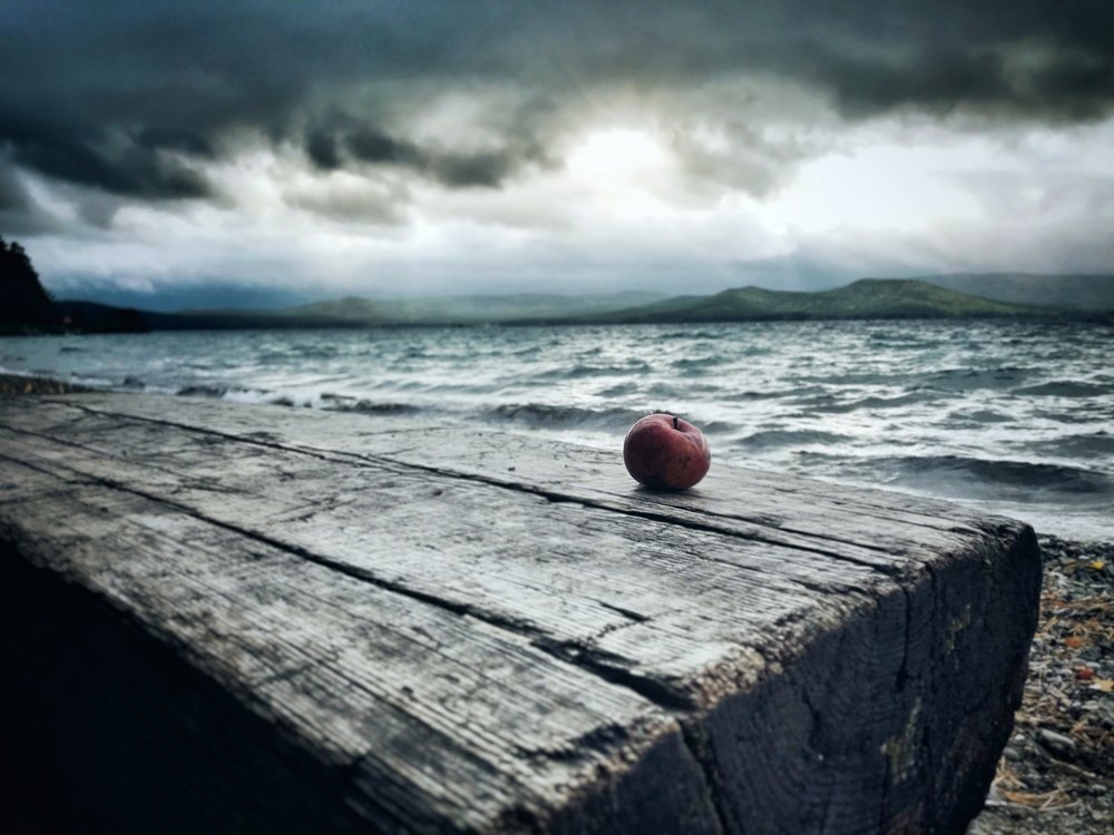 Photograph by Александр Тимофеев