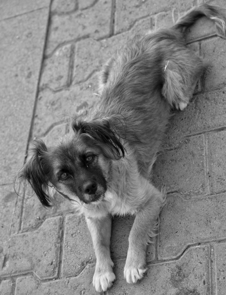 Photograph by Константин Бокарев