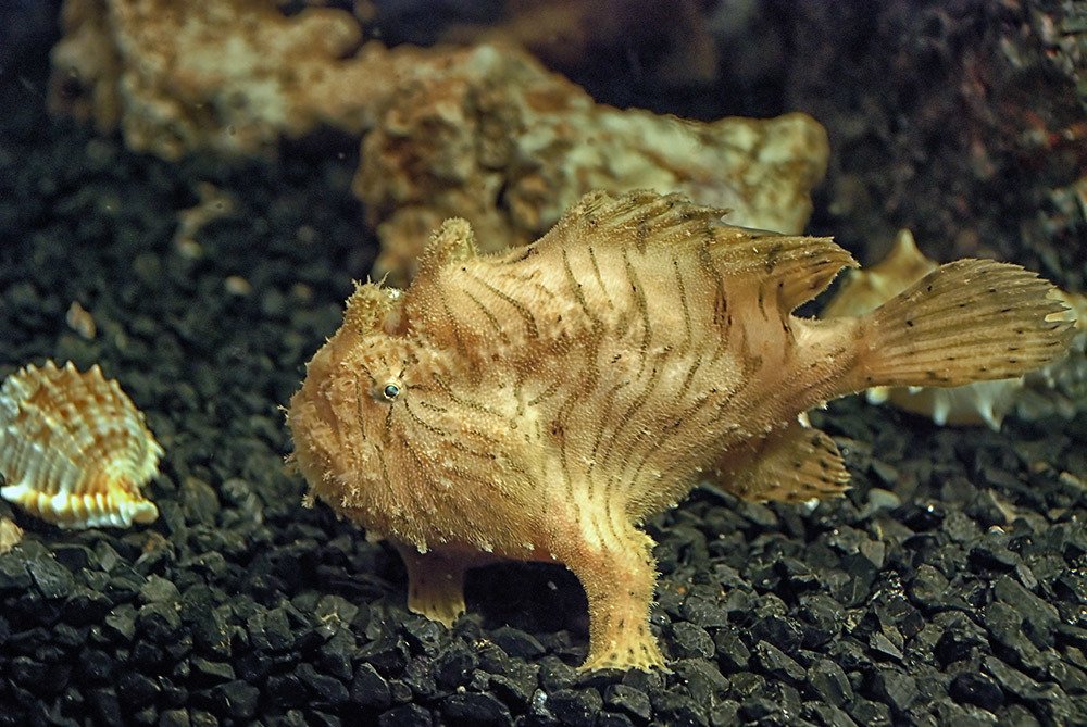 Photograph by Валентин Александров